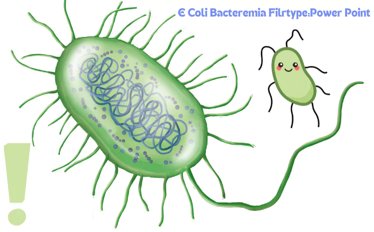 E Coli Bacteremia Filetype:Power Point