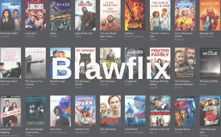 Brawflix