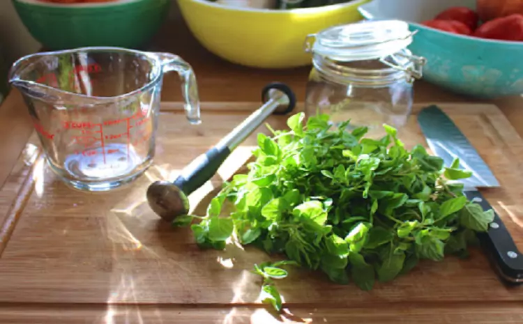 How to Make Oil of Oregano at Home