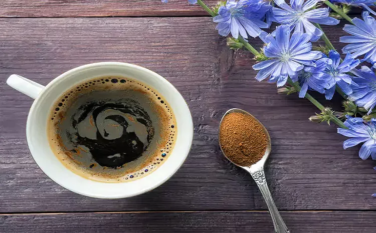 How to Make Chicory Coffee at Home Caffeine Content